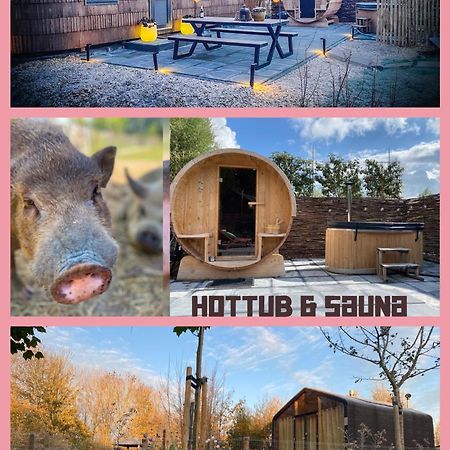 Bed & Wellness Klein Knorrestein With Private Hottub And Sauna And Tandembike Rental Included In Price Almere Exterior photo